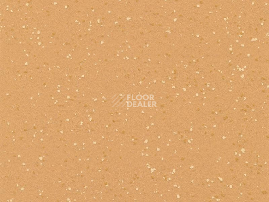 Линолеум Polyflor Polysafe Verona Pur 5218 Butterscotch фото 1 | FLOORDEALER